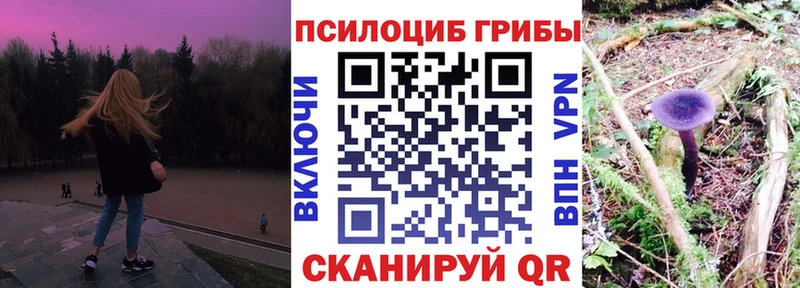 Галлюциногенные грибы Psilocybine cubensis Лысково